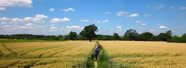 Image result for Mid Surrey Ramblers