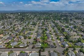 Image result for Hazel Grove