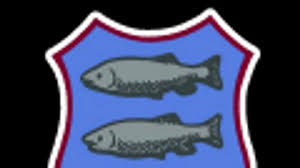 Image result for Newport (Salop) Cricket Club