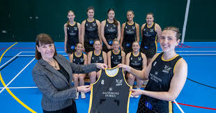Image result for Hornets Netball Club