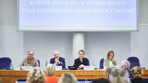 Image result for pauliine koskelo