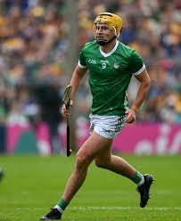 Image result for University Of Limerick Gaa Hurling Club