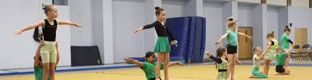 Image result for Kestrel Gymnastic Group