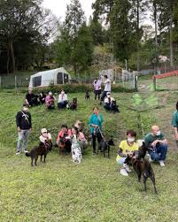 Image result for バーベキュー オフ会