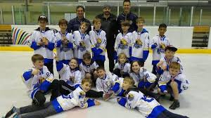Image result for Haringey Greyhounds Ice Hockey Club