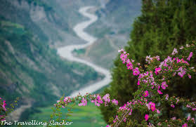 Image result for himachal pradesh