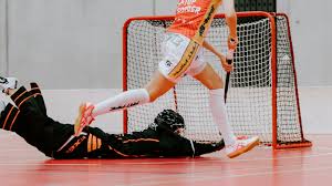 Image result for Portsmouth Floorball/Unihoc