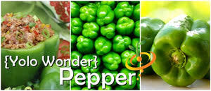 Afbeeldingsresultaat voor yolo wonder sweet pepper