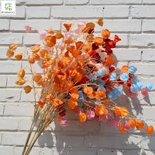 Attēlu rezultāti vaicājumam “Enkianthus chinensis”