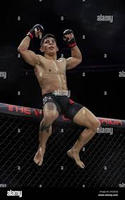 Image result for Guerrero Martial Arts