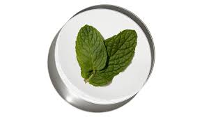 Image result for Melisse