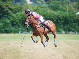 Image result for Taunton Vale Polo Club