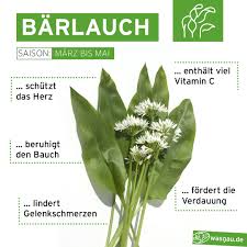 Image result for Bärlauch