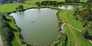 Image result for DRAYTON ANGLING CLUB