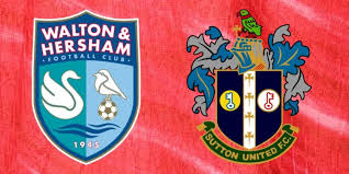 Image result for Walton & Hersham Football Club