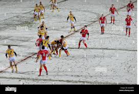 Image result for Celtic Crusaders