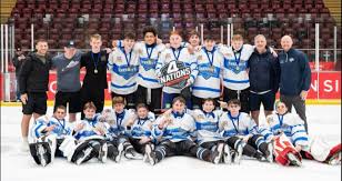 Image result for Sheffield Scimitars