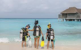 Image result for Exe To Sea Diving