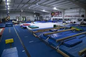 Image result for York University Gymnastics Club
