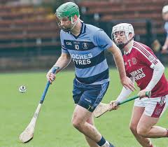 Image result for Causeway Hurling Club