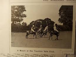 Image result for Taunton Vale Polo Club