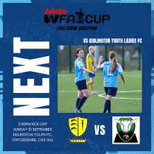 Image result for Headstone Manor Youth Football Club