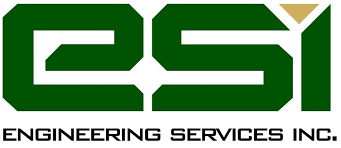 Image result for Engineering Services Netball Club