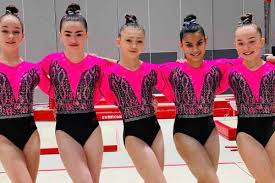 Image result for Weaverham Gymnastics Club