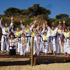 Image result for Stockport Shotokan Karate Club