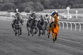 Image result for The Horse Racing Club
