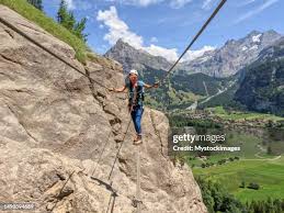 Image result for PONT DE SINGE