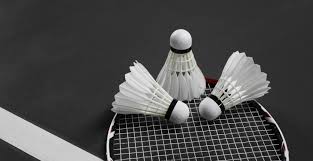 Image result for Woughton Ladies Badminton Club