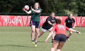 Image result for Haverfordwest Rugby Football Club