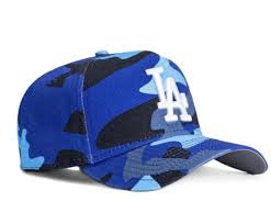 Image result for Dodgers Cricket Club