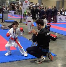 Image result for Thatcham Wado Karate Club