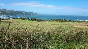 Image result for Cardigan Golf Club