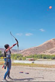 Image result for Acorn Archers