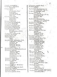 Attēlu rezultāti vaicājumam “Silene wolgensis”