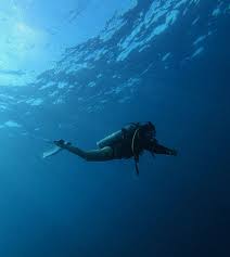 Image result for Deep Blue Diving