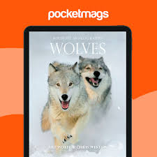 Image result for Weston Rhyn Wolves