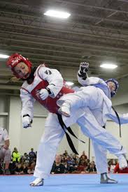 Image result for Taekwondo Athletes Program USA