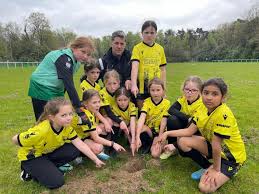 Image result for Warsash Wasps Sports & Football Club