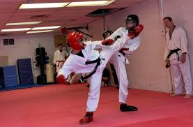 Image result for Dujon Tae Kwon Do