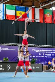Image result for Sports Acro
