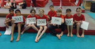 Image result for Stockport School Of Gymnastics