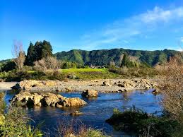 Attēlu rezultāti vaicājumam “Leporida”