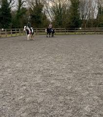 Image result for South Weylands Equestrian