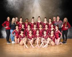 Image result for Maple Gymnastics Club