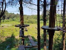 Image result for The Go Ape Experience (Delamere Forest)