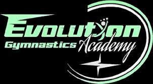 Image result for Evolution Trampoline Club
